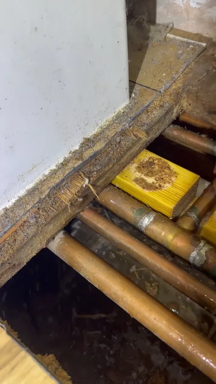 Copper pipes running between floor joists with the floorboards lifted to reach them